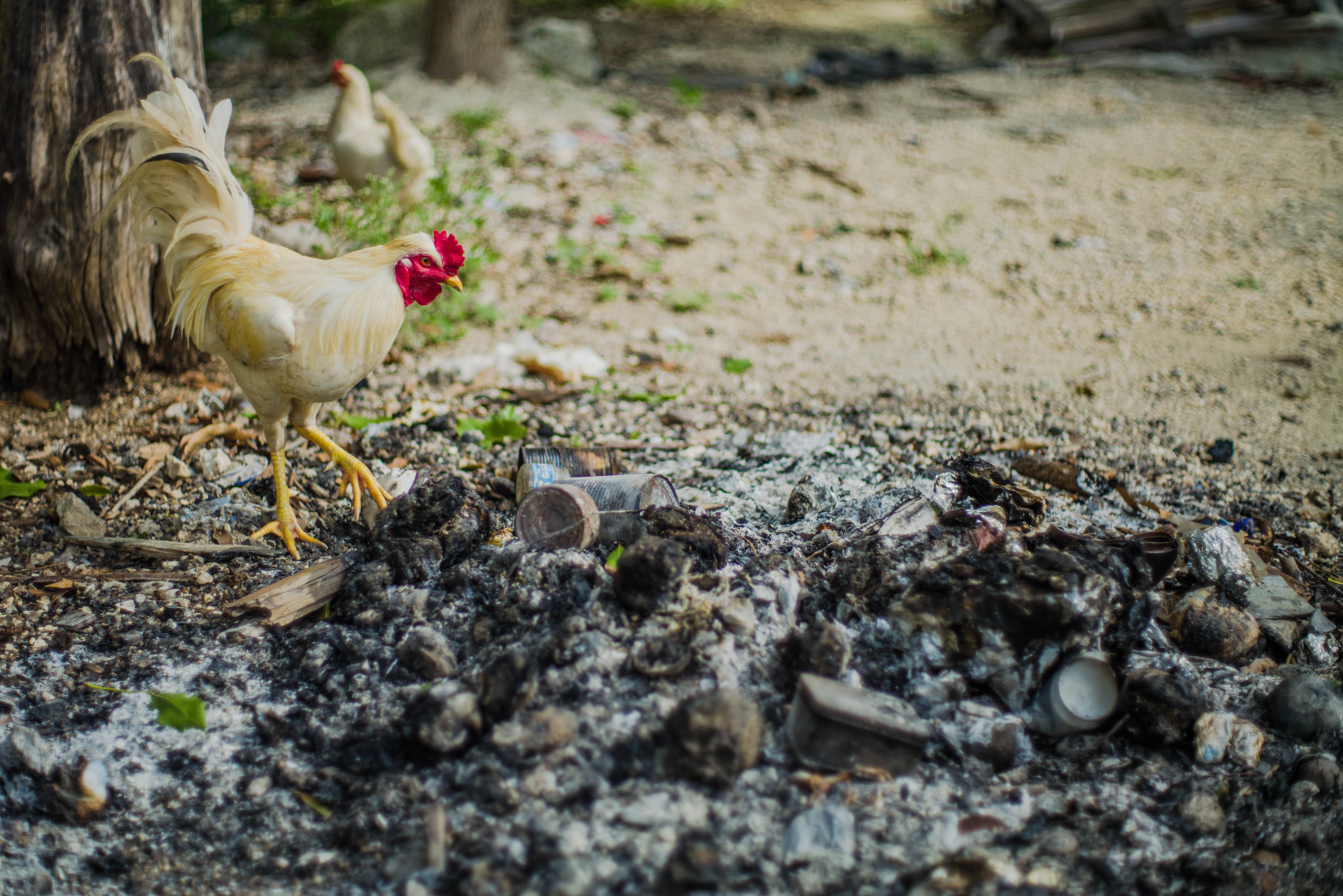 Escena del documental 2
