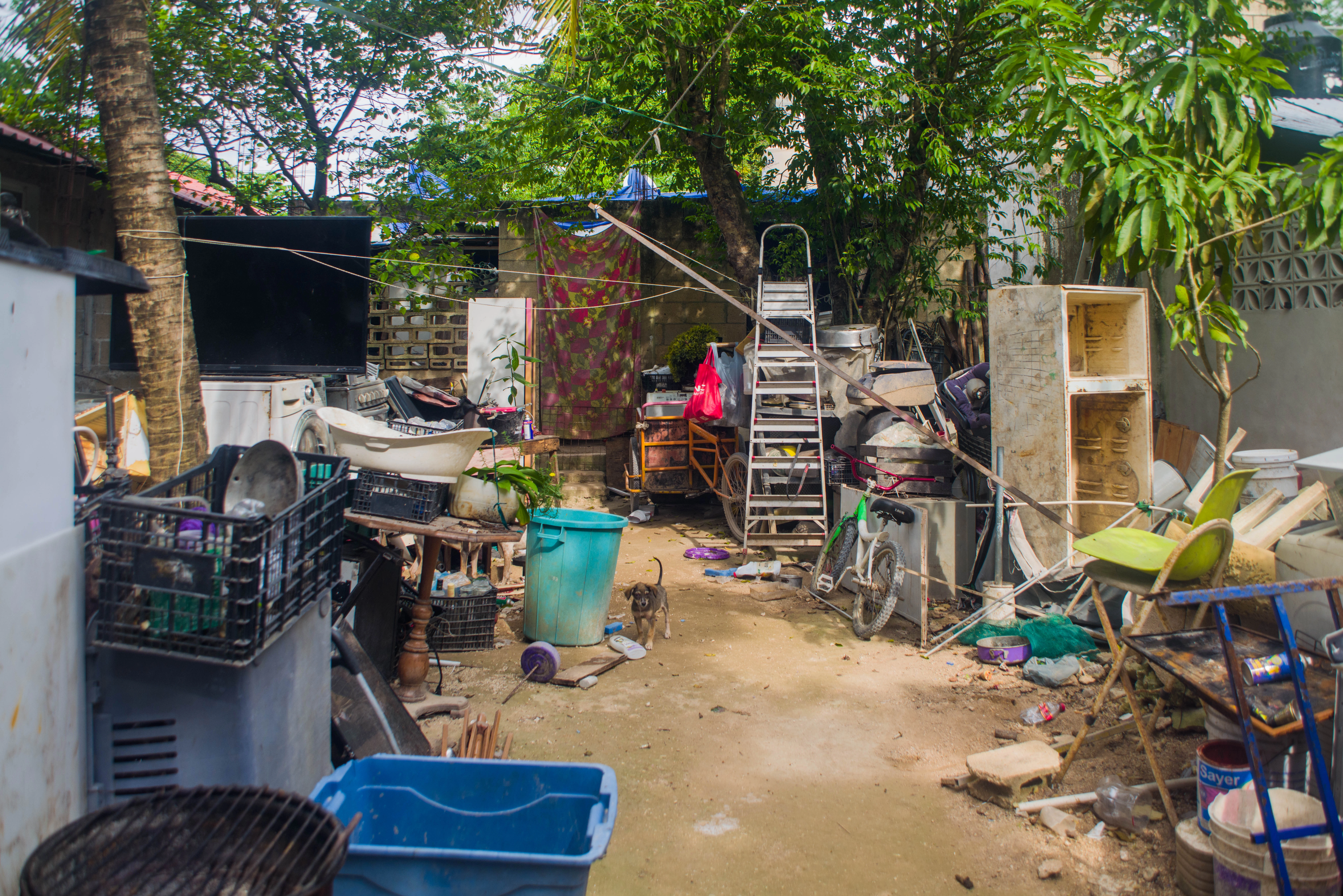 Escena del documental 4