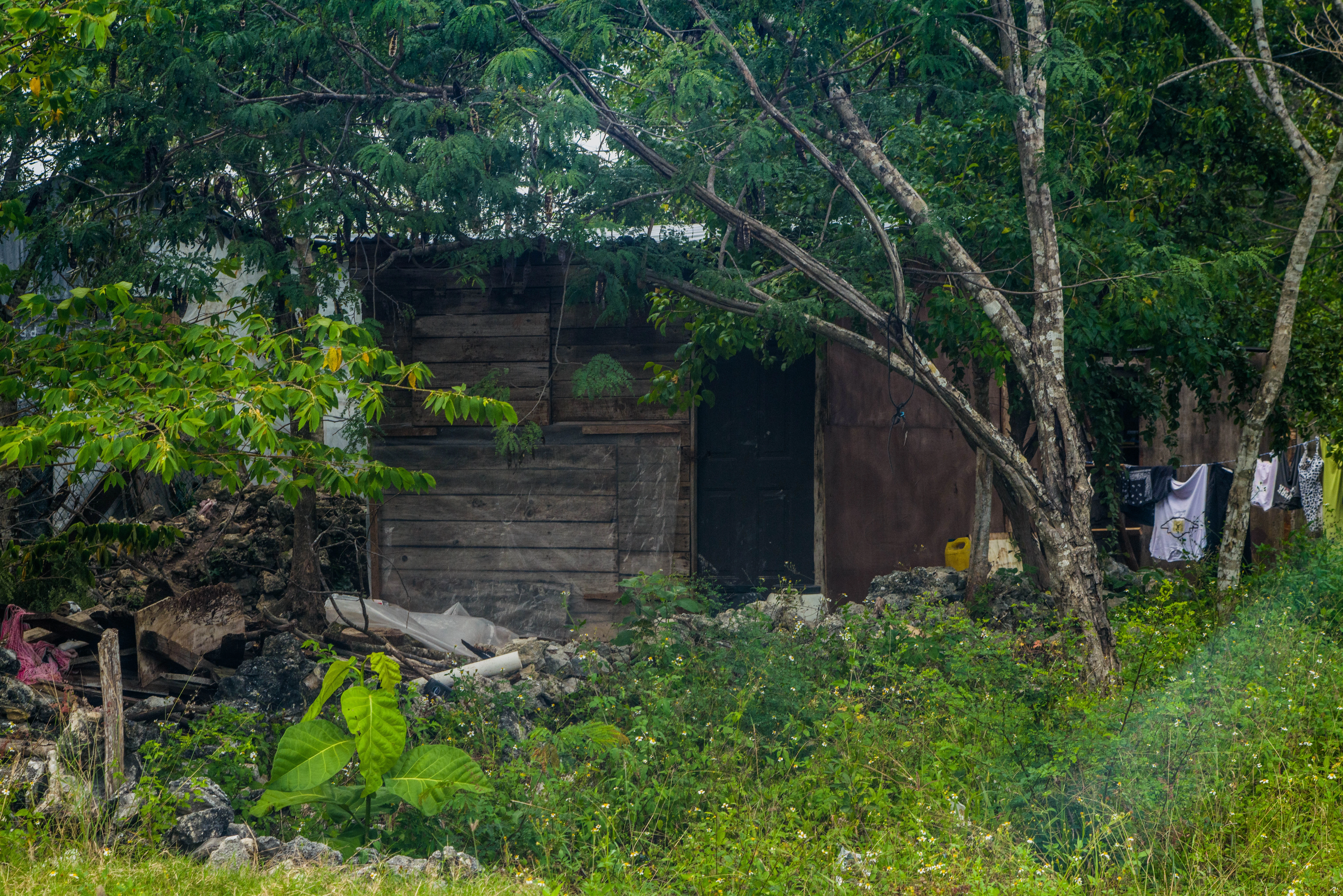 Escena del documental 6