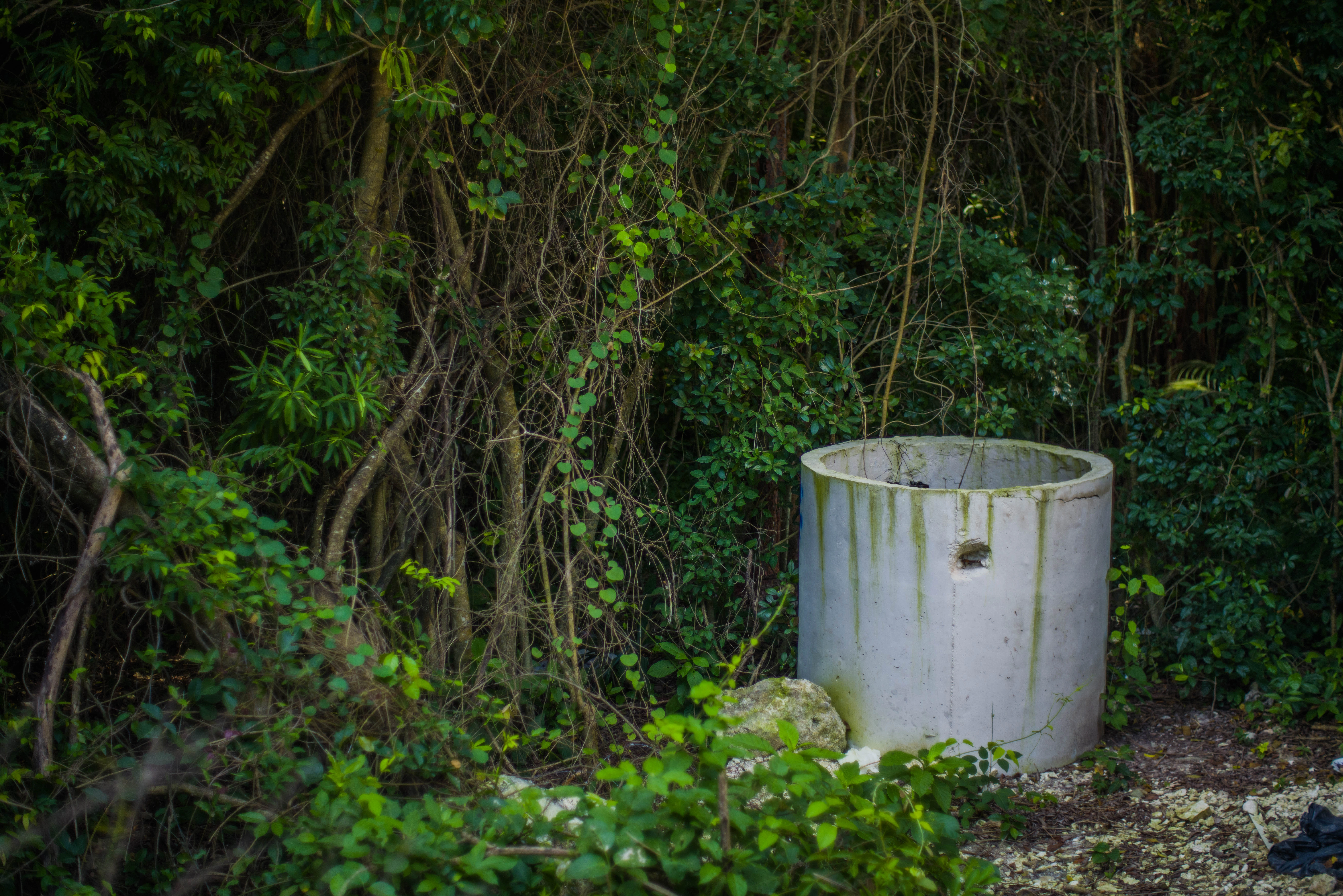 Escena del documental 8